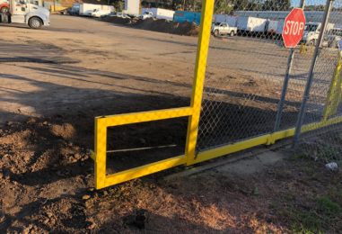 WhatsApp Image 2020-05-18 at 6.24.22 PM (1)