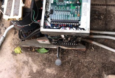 WhatsApp Image 2020-05-22 at 3.59.04 PM (6)