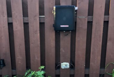 WhatsApp Image 2020-05-22 at 3.59.05 PM (5)