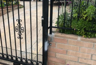 WhatsApp Image 2020-05-22 at 4.03.36 PM (2)