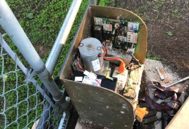 WhatsApp Image 2020-05-22 at 4.03.37 PM (3)