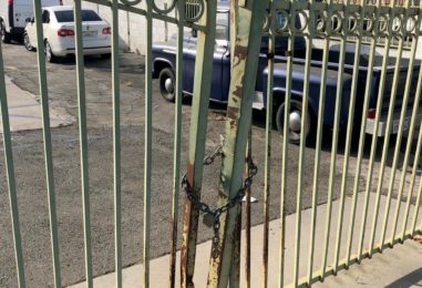 WhatsApp Image 2020-05-22 at 4.03.53 PM (4)