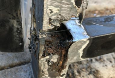 WhatsApp Image 2020-05-22 at 4.03.54 PM (2)