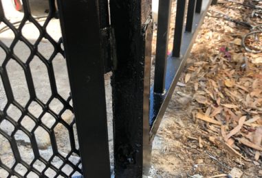 WhatsApp Image 2020-05-22 at 4.03.54 PM (3)