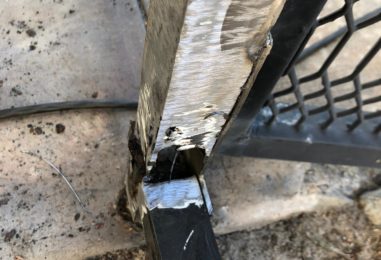 WhatsApp Image 2020-05-22 at 4.03.54 PM (4)