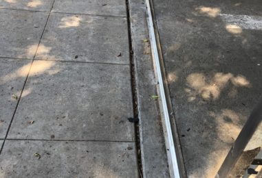 WhatsApp Image 2020-05-22 at 4.07.27 PM