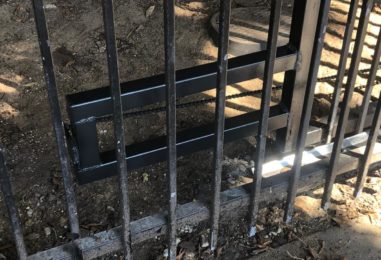 WhatsApp Image 2020-05-22 at 4.07.28 PM