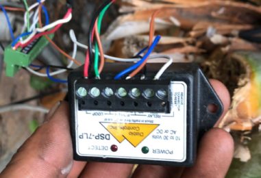 WhatsApp Image 2020-05-22 at 4.07.29 PM