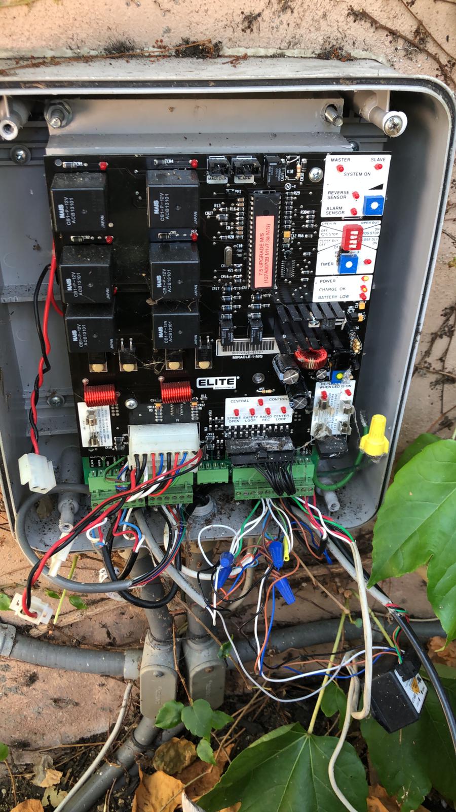 WhatsApp Image 2020-05-22 at 4.07.30 PM