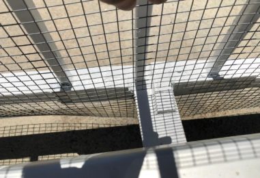 WhatsApp Image 2020-05-22 at 4.07.31 PM (1)