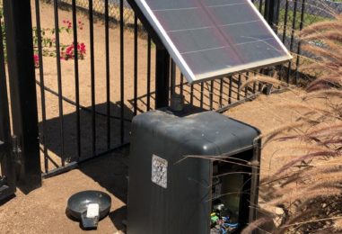 WhatsApp Image 2020-05-22 at 4.07.31 PM