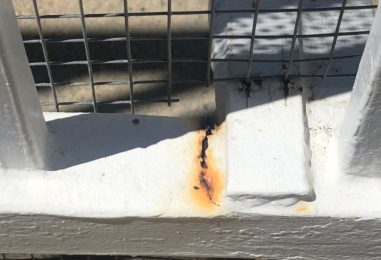 WhatsApp Image 2020-05-22 at 4.07.33 PM