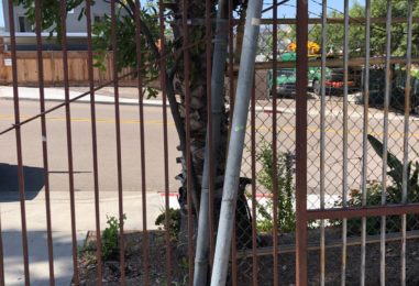 WhatsApp Image 2020-05-22 at 4.12.10 PM (1)