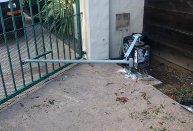 WhatsApp Image 2020-05-22 at 4.12.16 PM (1)